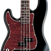 【希少】SELDER エレキベース プレシジョンベース レフティ 左利き Amazon | SELDER セルダー ベース プレシジョンベースタイプ PB